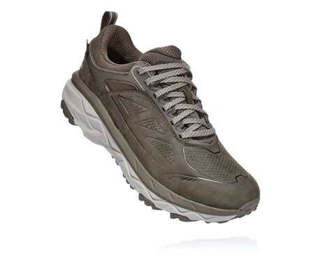 Brown Men's Hoka Challenger Low GORE-TEX Hiking Shoes | 4896715-ZE